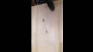 Insane power from a gun smaller than most roofing nailers!!