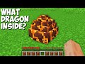 Which DRAGON will HATCH from MAGMA EGG in Minecraft ? WHAT DRAGON INSIDE ?