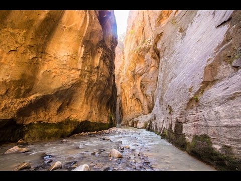 Hiking the Narrows in Zion National Park (Top Down 2 Day Hike)