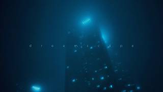 antent, dvw logic, lonelyfeels - i’ll never forget it