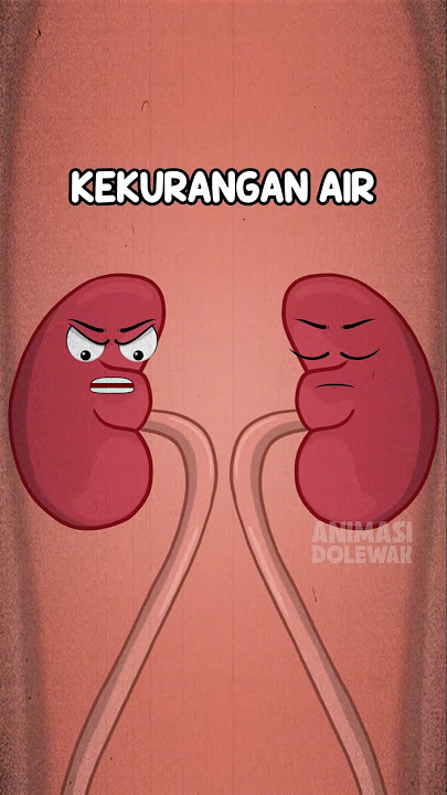 Akibat Kurang Minum #animasidolewak #animasiorgantubuh