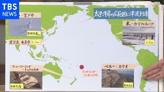 トンガ噴火で異例の津波【サンデーモーニング】