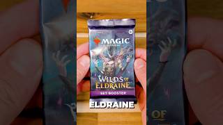 Entering the Wilds of Eldraine on Day 690 with a Set Booster 📖 #eldraine #wildsofeldraine #mtg #WOE