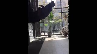 Dan Ryckert - Picking up @TacoBell delivery for UPF! [Periscope] (07/10/2015)