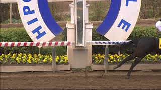 Vidéo de la course PMU PREMIO FEDERACION DE RODEO CHILENO S.