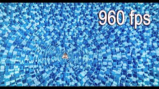A Little Moth in my pool - Slow Motion 960 fps
