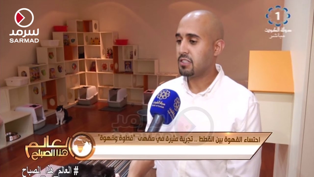 إحتساء القهوة بين القطط .. تجربة مثيرة في مقهى "قطوة وقهوة"