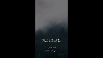 يا أيتها النفس المطمئنة | تلاوة مؤثرة من أواخر سورة الفجر | أحمد القصبي