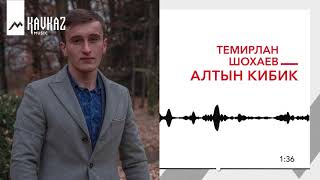Темирлан Шохаев - Алтын кибик | KAVKAZ MUSIC