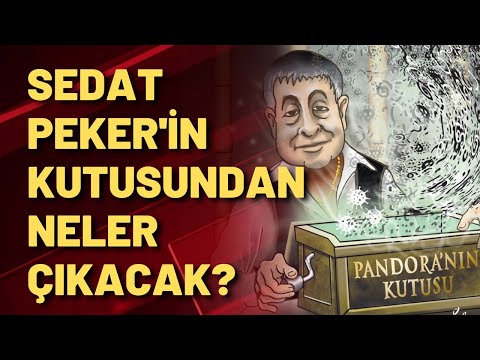 Sedat Peker'in karikatürünü paylaşan Twitter kullanıcısı kim? Pandora'nın kutusundan ne çıkacak?