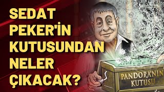 Sedat Peker'in karikatürünü paylaşan Twitter kullanıcısı kim? Pandora'nın kutusundan ne çıkacak?