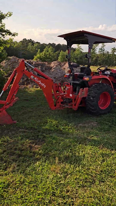 Collecting Eggs 6/1/25 #chicken #freerangeeggs #chickeneggs #chickencoop #farm #farming #Eggs #egg