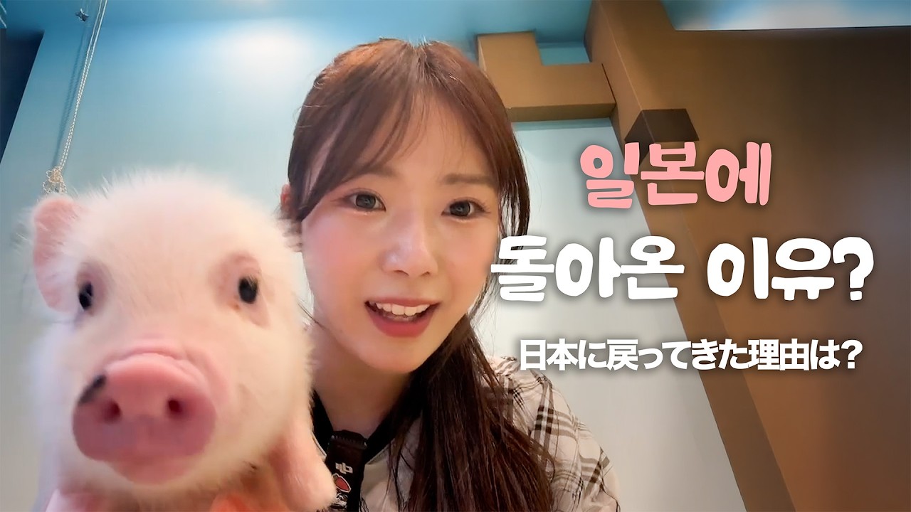 돼지카페에 아야카가 떴다! 그리고…🐷🐶 l アヤカが豚カフェに登場！そして…🐷🐶 Vlog