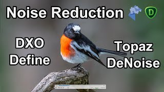 Noise Reduction Software – Lightroom vs Nik Dfine 2 vs Topaz Denoise
