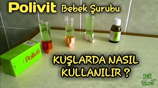 Kuşlarda Poli̇vi̇t Bebek Şurubu Nasil Kullanilir?