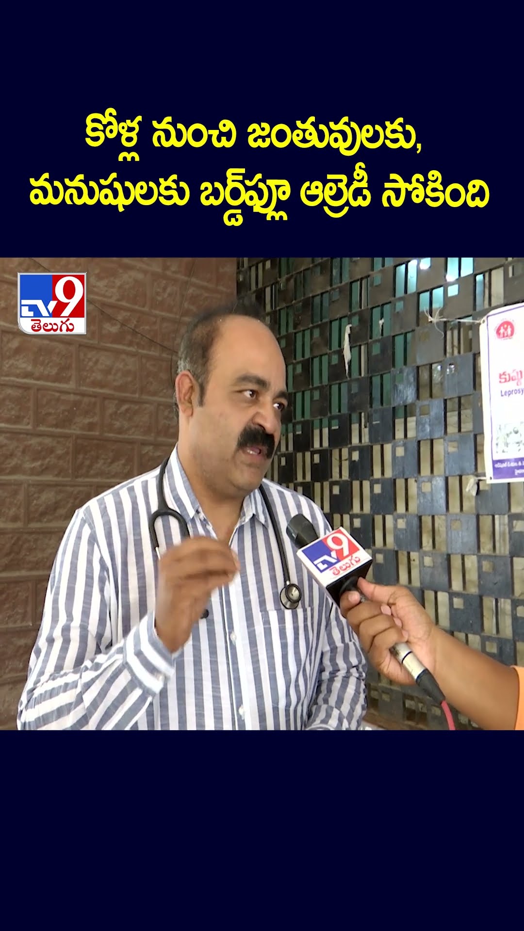 కోళ్ల నుంచి జంతువులకు, మనుషులకు బర్డ్‌ఫ్లూ ఆల్రెడీ సోకింది : Doctor on Bird Flu - TV9