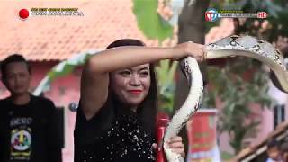 17 AYU SANCA TARI ULAR ORGAN OJM LIVE CIBOGO 12 APRIL 2019 (Oficial )