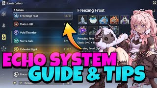 [Wuthering Waves] - ECHO SYSTEM GUIDE! FULL BREAKDOWN & EXPLANATION!