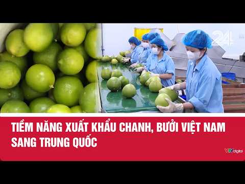 Tiềm năng xuất khẩu chanh, bưởi Việt Nam sang Trung Quốc | VTV24