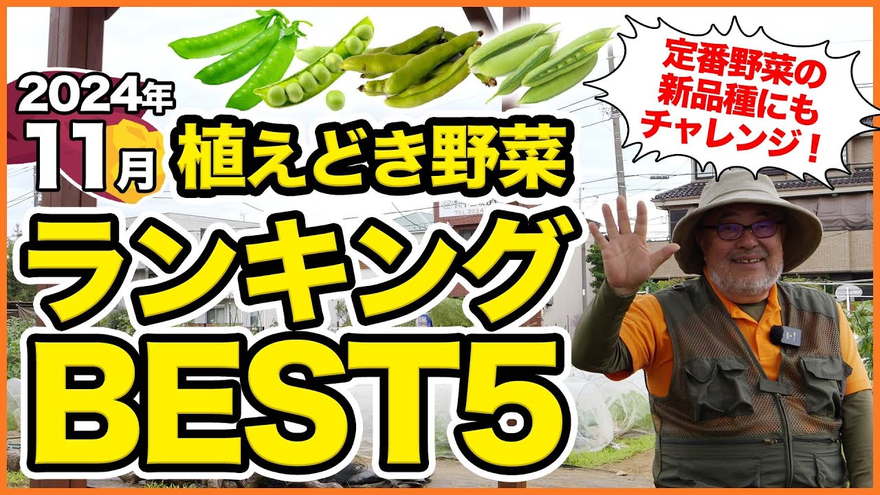 Recommended for home gardens and farms in November! Top 5
