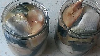 Домашние рыбные консервы. Домашние рыбные консервы.