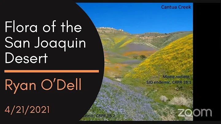 Flora of the San Joaquin Desert, a talk by Ryan OD...