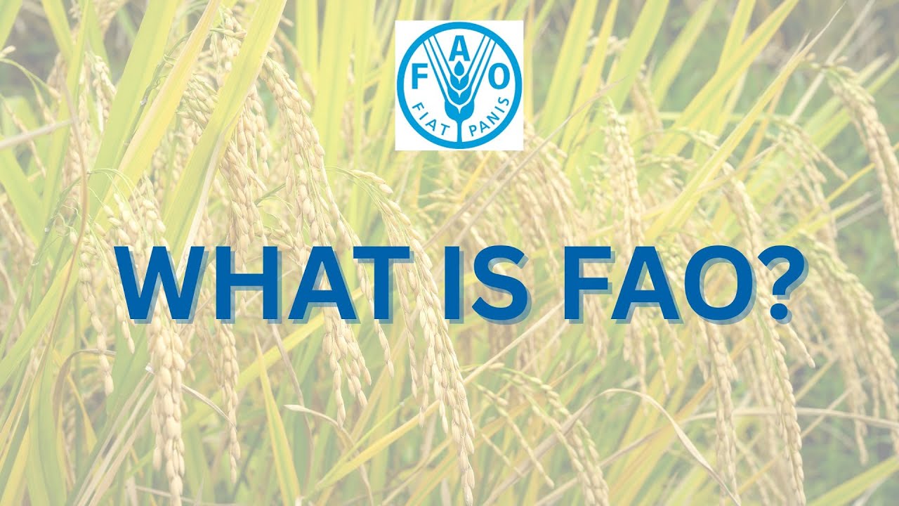WHAT IS FAO?