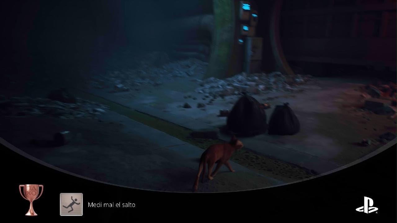 Stray - Medí mal el salto (BRONZE)