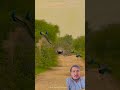 #science#trending #viral #shorts