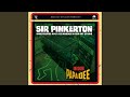Miniature de la vidéo de la chanson Dub For Roger