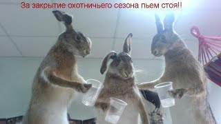 картинка: Закрытие охоты на зайца  сезон (2023- 2024 )