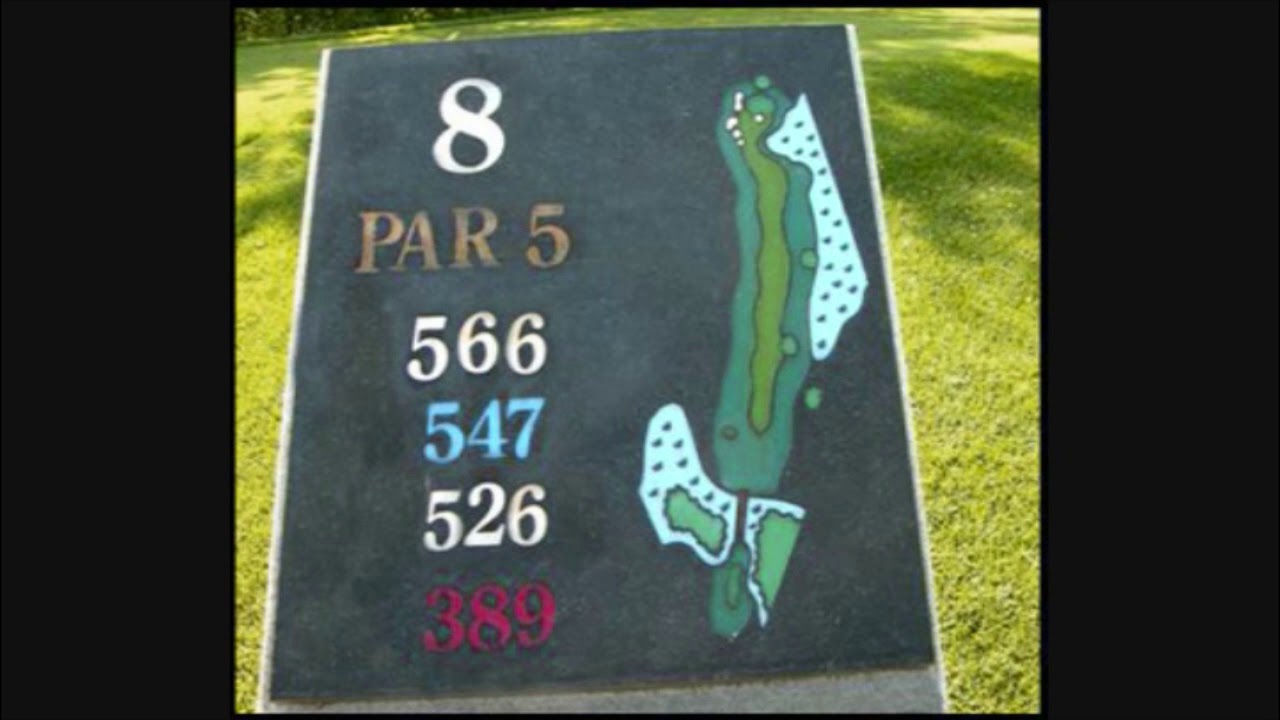 buy hot shots golf open tee