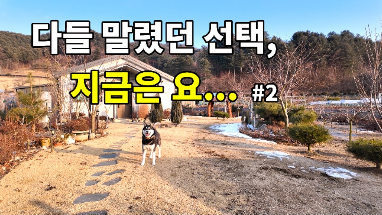 5도 2촌 1년 후  도시 떠난 선택, 다들 말렸지만 지금은…