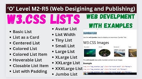 O Level W3 Framework With Examples | Mastering W3.CSS List Classes for Web Design | W3-List Classes