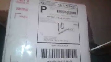 Bugs in Cyberspace unpacking/Review (another order)