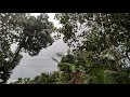 Rain slow motion