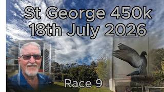 St George 456k - The Birds Look Better, But the Weather Doesn't