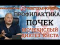 Киста Почки. Мочекислый диатез почки. Гиперплазия предстательной железы - Профилактика от Тибетской