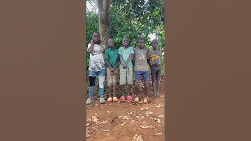 Spreading Positivity: Random Acts of Kindness Compilation