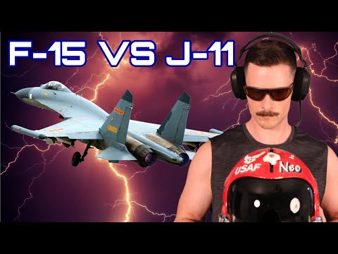 Real Fighter Pilot F-15 vs Chinese J-11 | DCS
