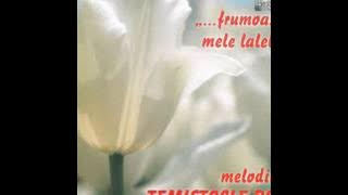 Iubite - Angela Similea