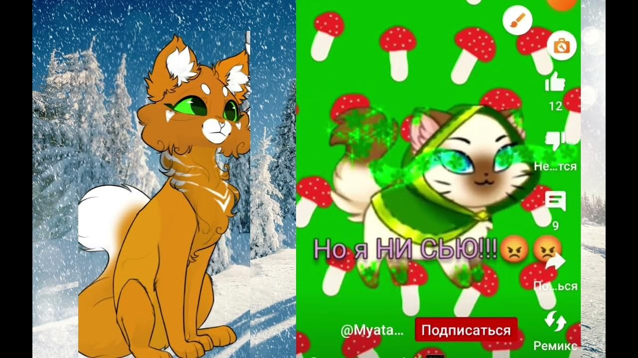 Реакция на @Bya_UwU ДВЕ СЬЮХИ РАДУГА И МЯТА?? !??!?!??!?!??!? Я МЕРТВА ...