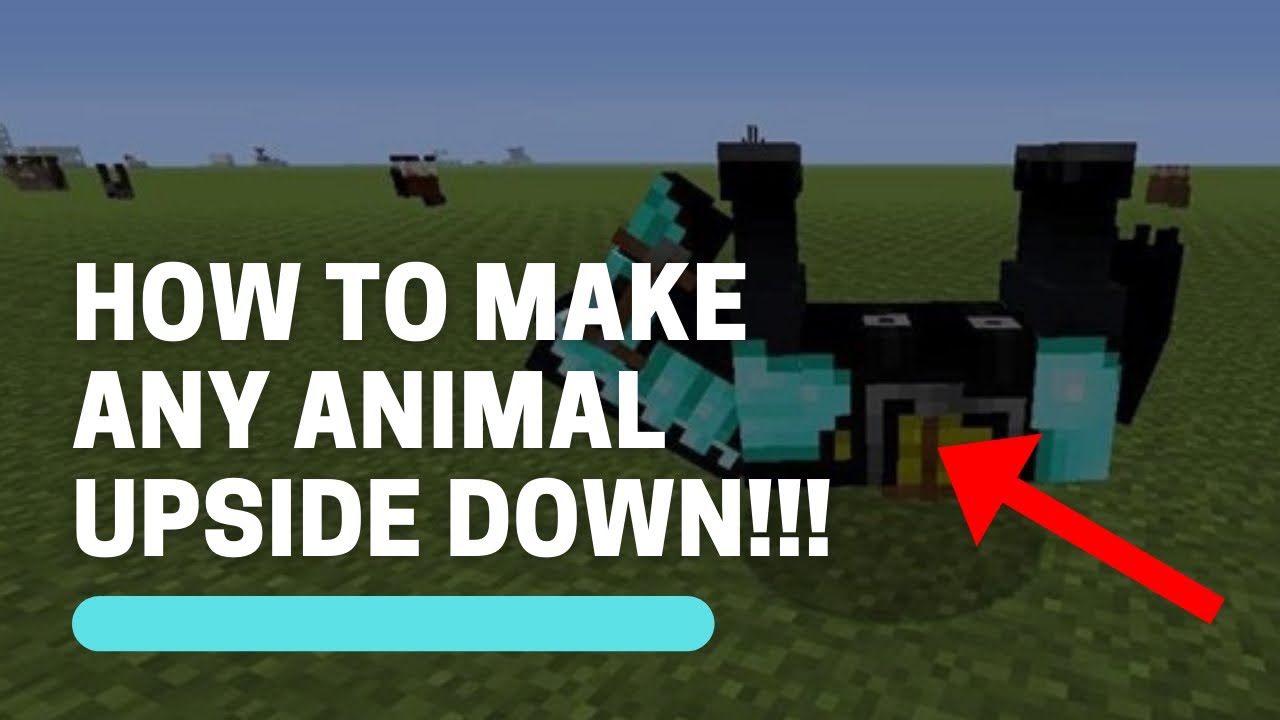 How To Make ANY Animal Upside Down!!! YouTube