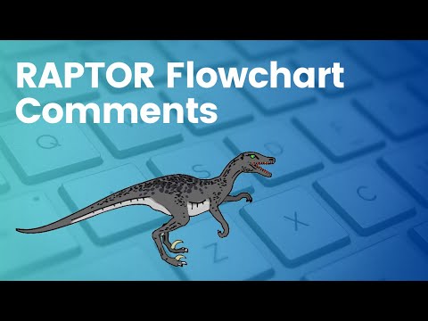 Comments in Raptor Flowchart #testingdocs #education #flowchart