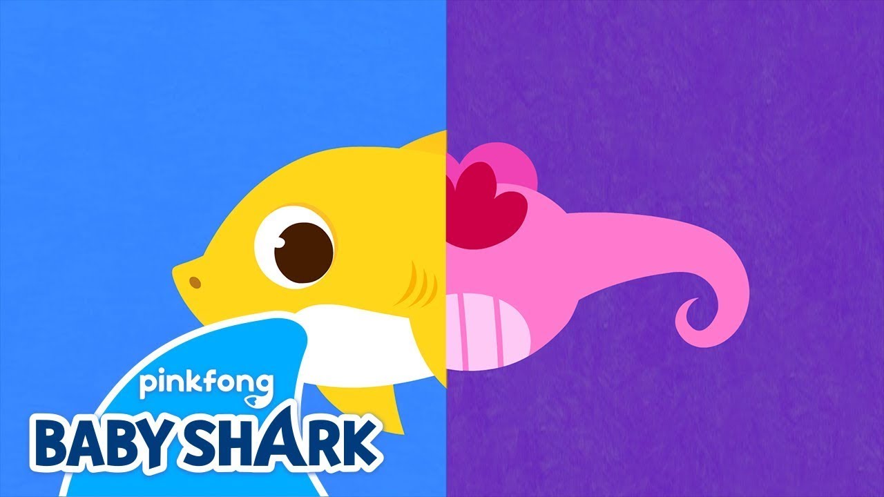 Have You Ever Seen Shark’s Tail? | Baby Shark | Baby Shark Dance and Song