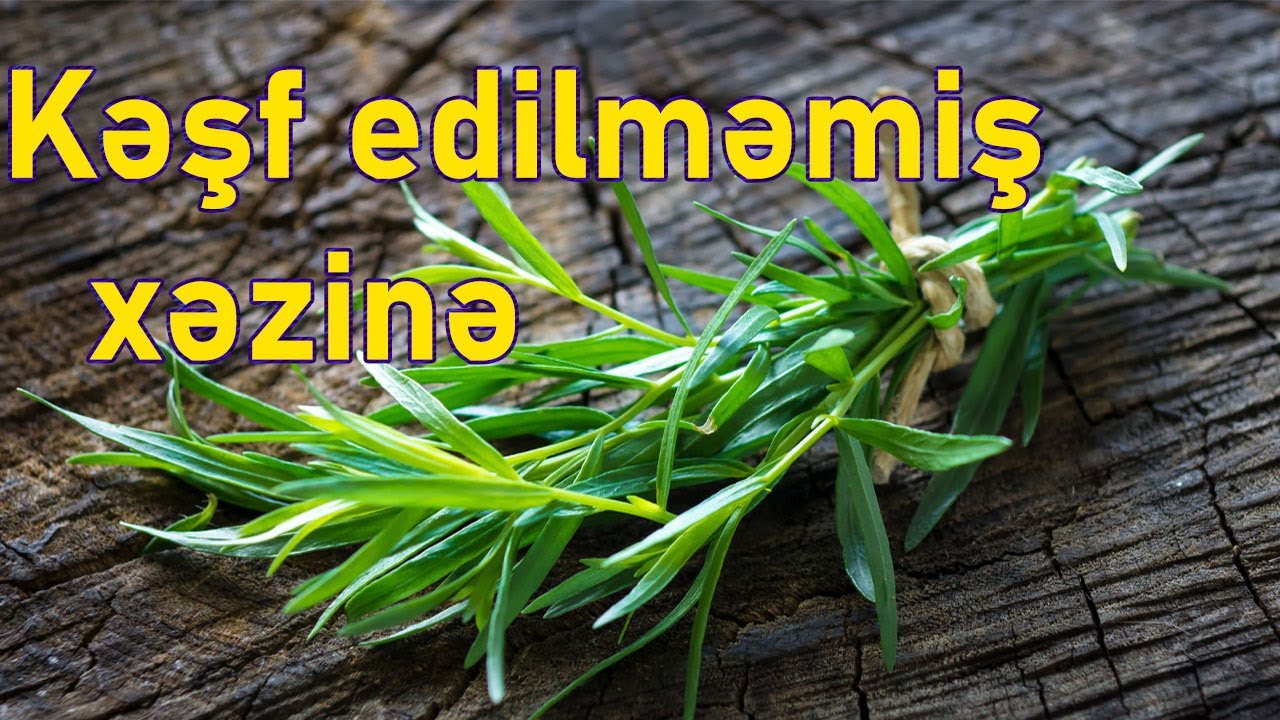 Tərxunun heyratamiz faydaları