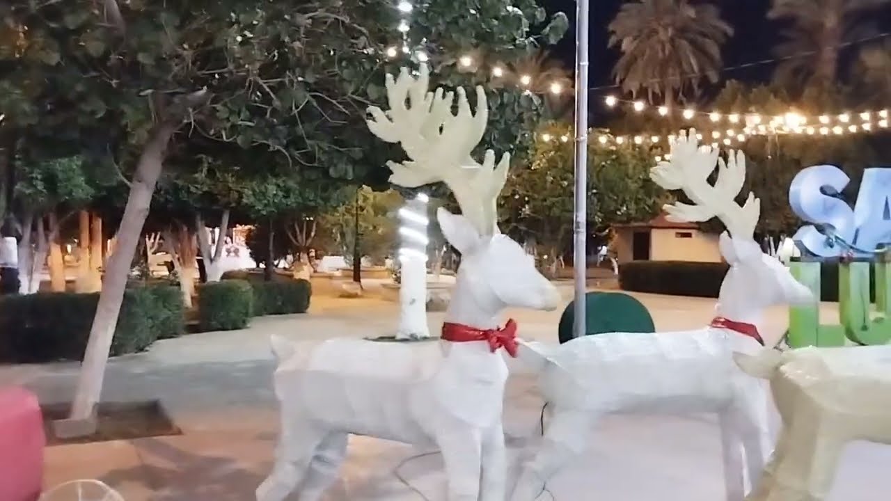 CAMINATA BAJO LAS LUCES. Parque Benito Juarez