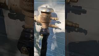 How to drain your backflow