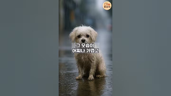 그 아이를 줍고, 인생이 바뀌었습니다 #시니어썰 #감동드라마 #강아지