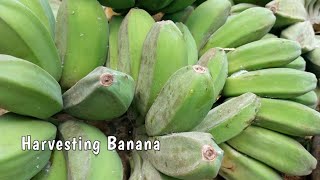 When you plant, you will harvest. 